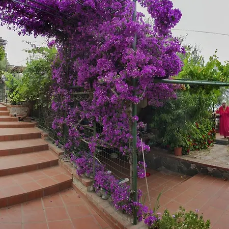 L' Arca Apartment Cefalu