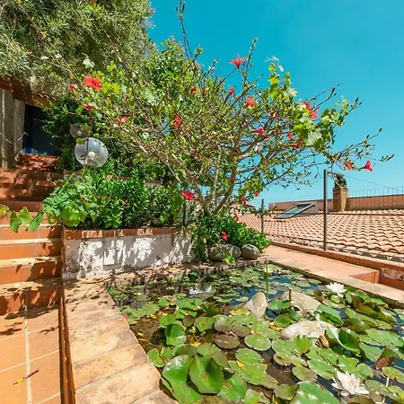 L' Arca Apartament *